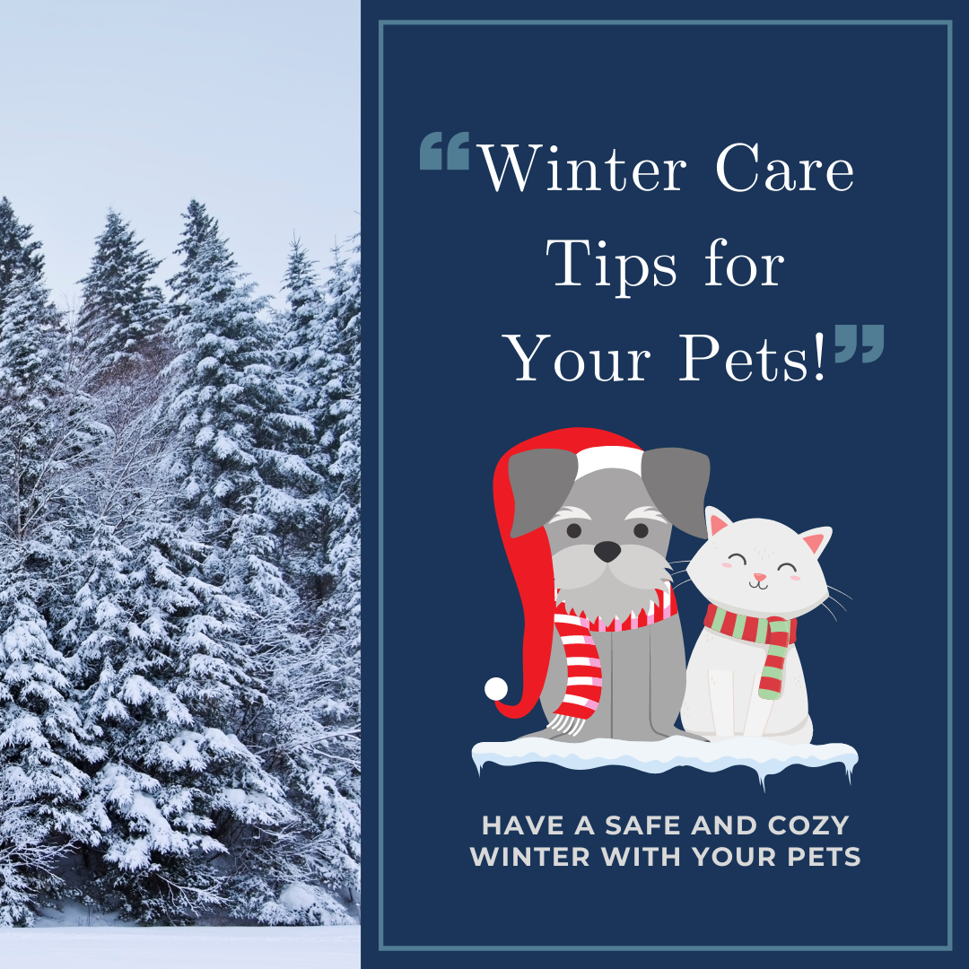 Winter Care Tips for Your  Pets!