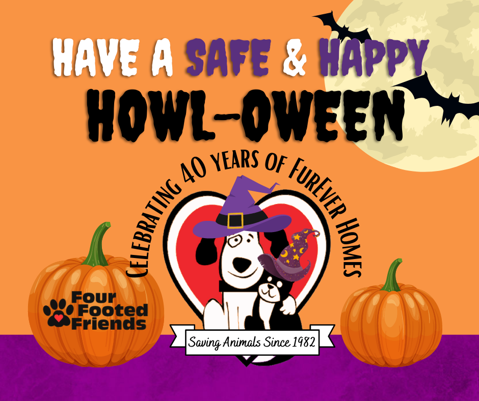 HAVE A SAFE AND HAPPY HOWL-OWEEN!