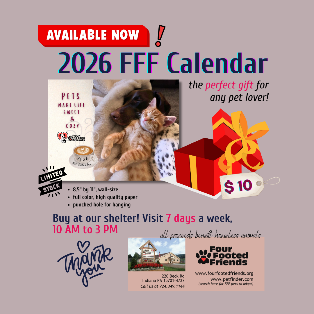 2026 Calendars on Sale Now!